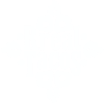 Rreal Tacos